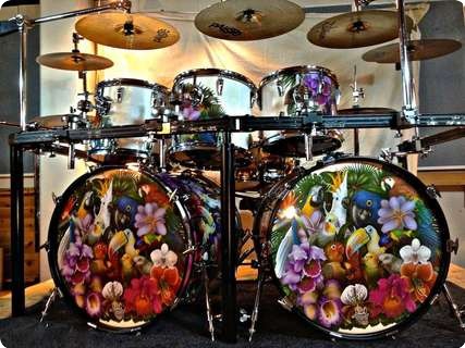 Bird of Paradise Drums Beating by Penny Ross