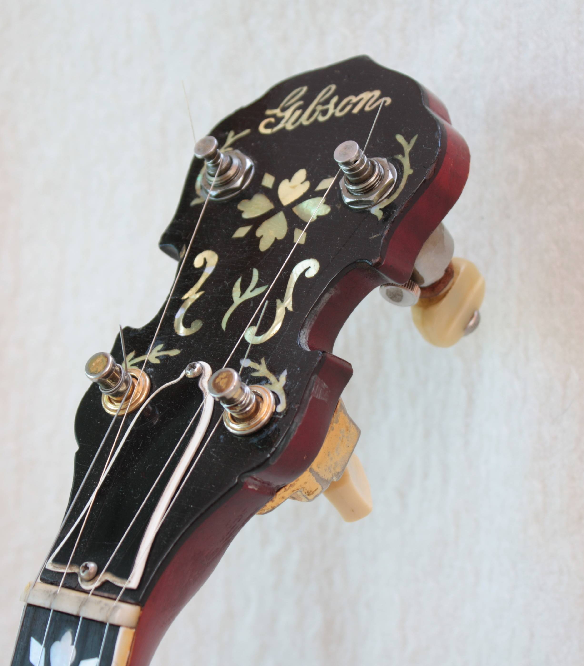 five stringed instrument five stringed instrument