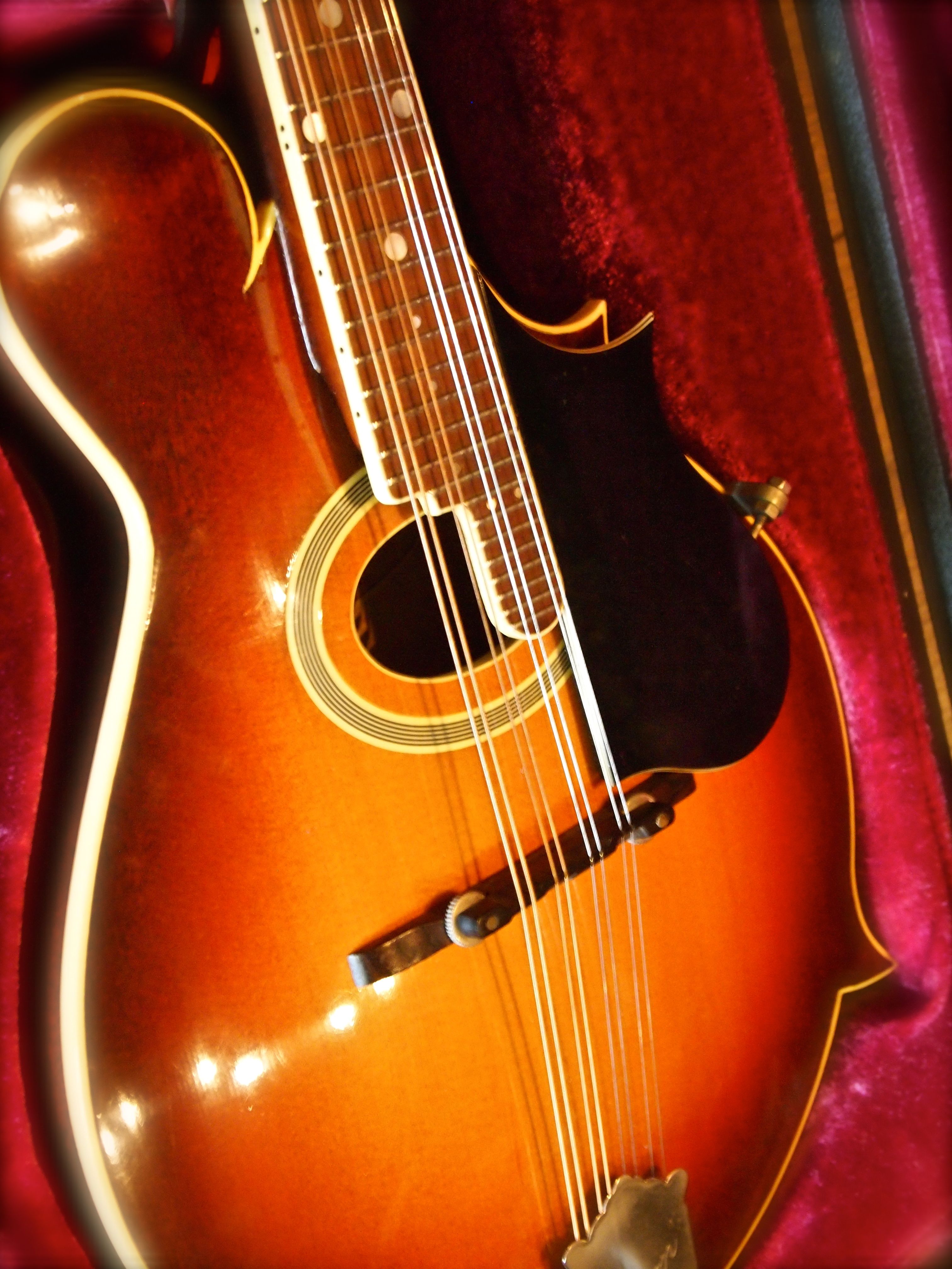 Gibson A5 Mandolin 1950's Sunburst Stringed Instrument For Sale Beat It