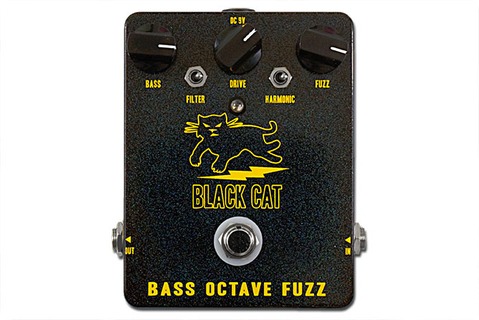 Octave Cat For Sale Octave Cat For Sale