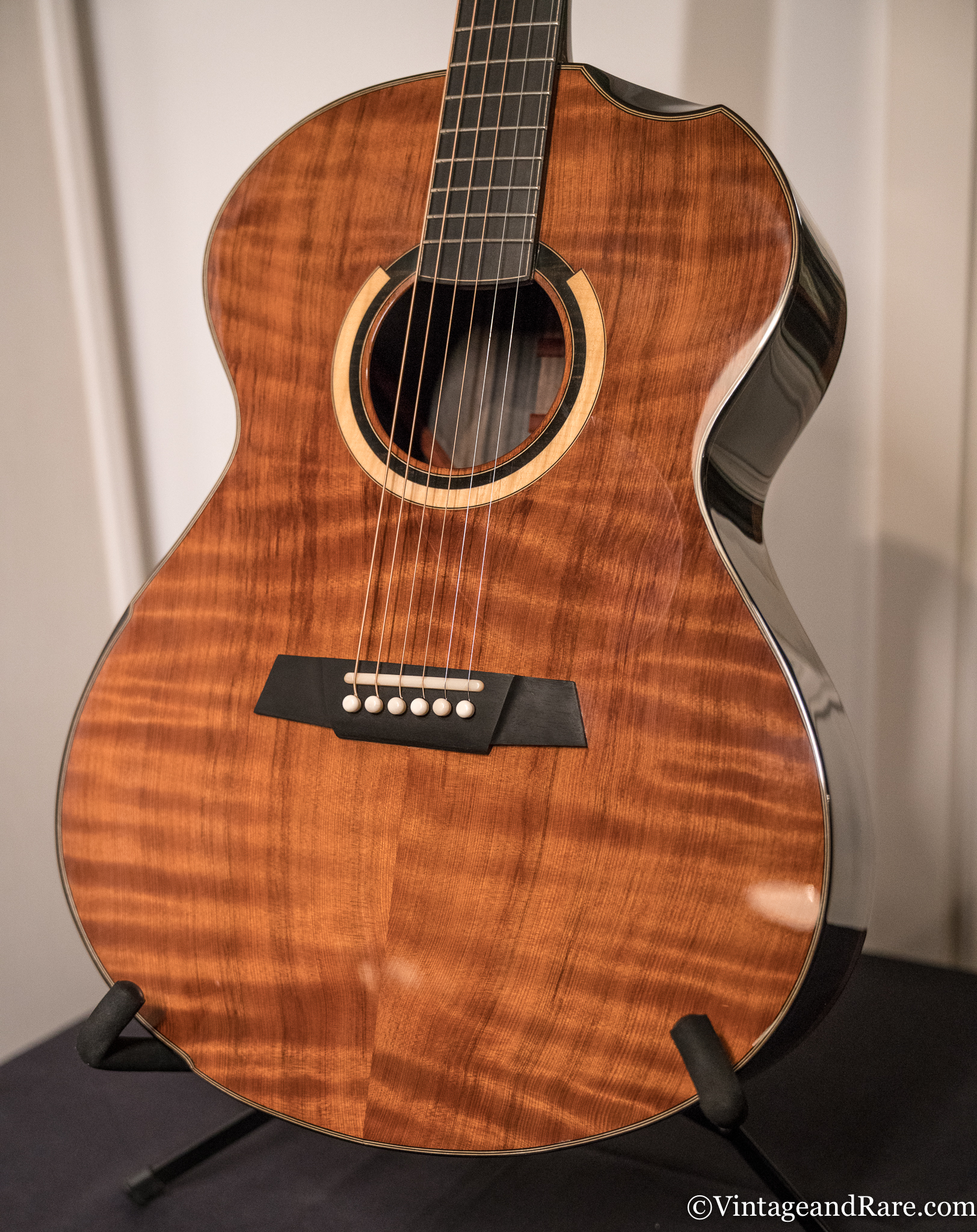 Boutique Guitar Showcase 2017 Gallery