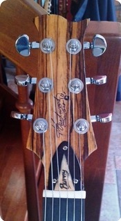 Handwood Guitars Burny  2013 Natural Stains, Oil Color And Tru Oil