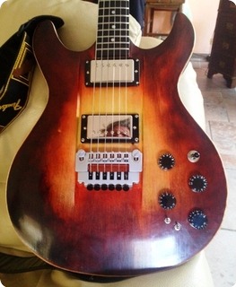 Handwood Guitars Burny  2013 Natural Stains, Oil Color And Tru Oil