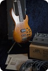 Roland G33GR33B 1980 Wood