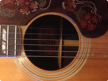 Yamaha Fg 300 Red Badge