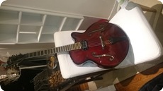 Defurne Dino 2010 Cello Red