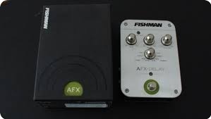 Fishman Afx Delay 2015