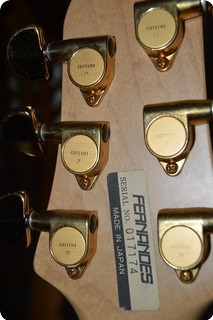 Fernandes Dragonfly Apg 85 