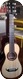 Ragghianti Luthier-Parlor Ian Anderson-2014