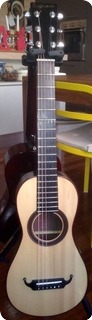Ragghianti Luthier Parlor Ian Anderson 2014