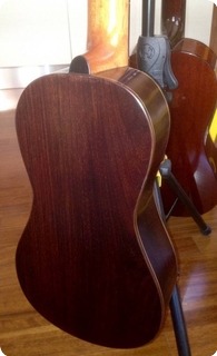 Ragghianti Luthier Parlor Ian Anderson 2014