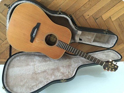 Takamine Np 15 Glen Hansard 1991