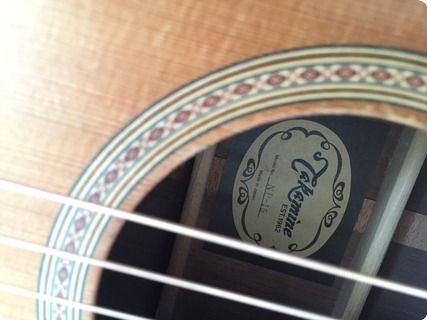 Takamine Np 15 Glen Hansard 1991