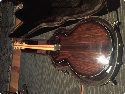 National Es 335 1970 Rosewood