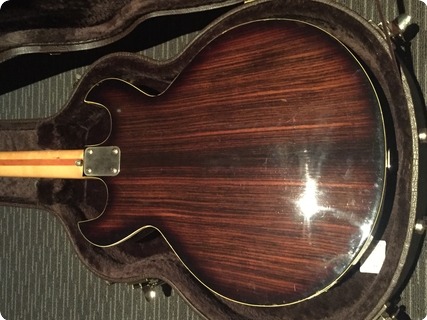 National Es 335 1970 Rosewood