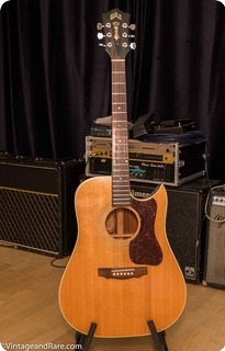 Guild D40cnt 1970