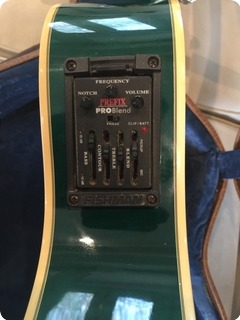 Guild F 65ce Rg 1995 Green