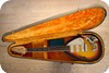 Vox Mark VI Acoustic 1966-Sun Burst