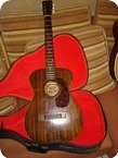 Gretsch Burl Ives Junior 1960