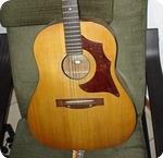 Hofner Acoustic Flattop 1968