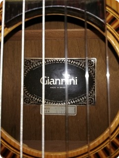 Giannini Awn 1977 Natural