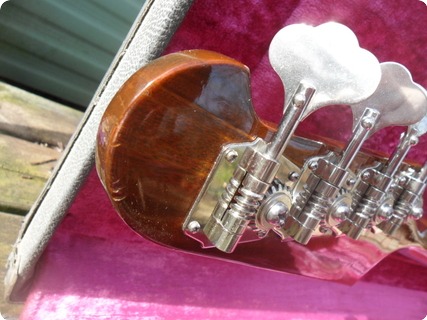 Gibson Thunderbird 76 Bicentennial 1976 Tobacco Sunburst