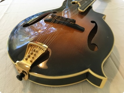 Kentucky Km 2000 Sunburst
