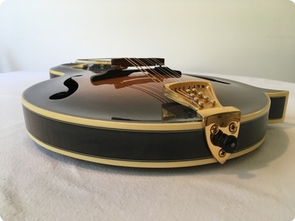 Kentucky Km 2000 Sunburst