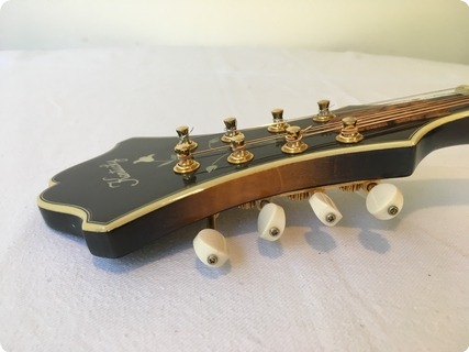 Kentucky Km 2000 Sunburst