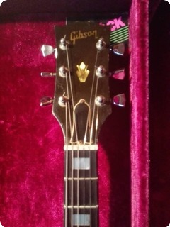 Gibson Sg 1974 Brown
