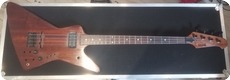 Chris Eccleshall Guitars Explorer