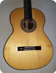 Dlutowski Classical Guitar 2015 Transparente