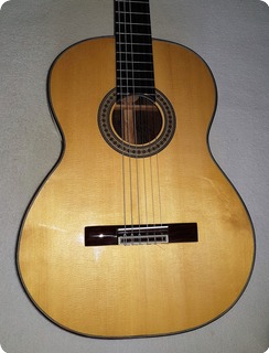 Dlutowski Classical Guitar 2015 Transparente