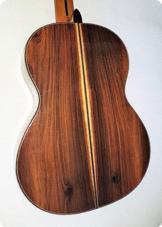 Dlutowski Classical Guitar 2015 Transparente