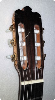 Dlutowski Classical Guitar 2015 Transparente