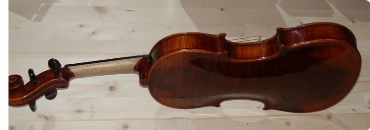 Carlo Giordano Violin  Natural Transparente