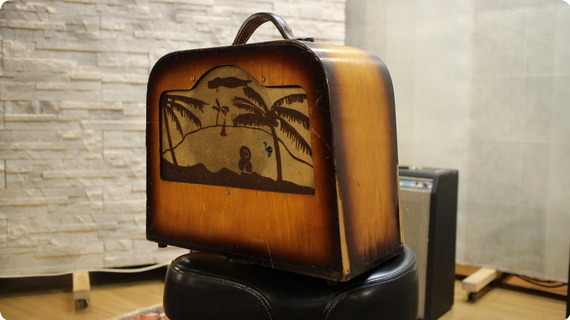 Regal Amplifiers Twin Palm 1958 Wood/sunburst