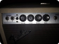 Fender Super Reverb 1978 Beigebrown