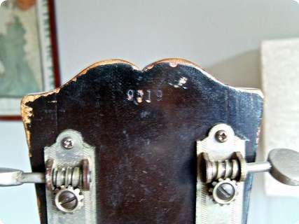 Guild Brilliant Cd100d 1957