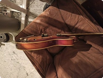 Höfner 4570/e2 1960 Brown