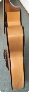 Daniel Slaman Nylon String Jazz, Custom Acoustic Archtop Guitar 2009 Semi Gloss