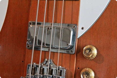Gibson Thunderbird Bicentennial Edition 1976