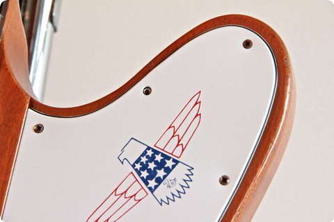 Gibson Thunderbird Bicentennial Edition 1976