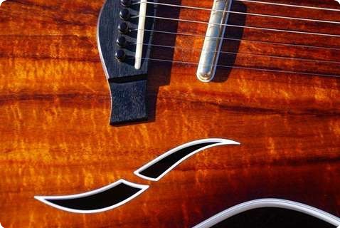 Taylor T 5 Custom 2000