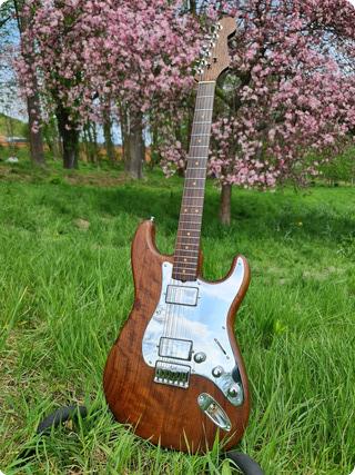 Schecter Guitar Research Van Nuys 1981 Natural