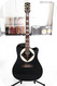 Gibson Jerry Cantrell Signature 