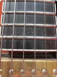 D'aquisto Guitars Jazzline Jim Hall 2005 Flammed Maple / Sunburst