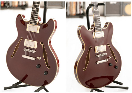 D'angelico D'angelico Excel Dc Tour Collection In Solid Wine 2022