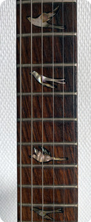Vester Guitars Charm Series Deluxe 