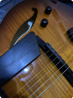 Sadowsky Jimmy Bruno 2023 Sienna Burst